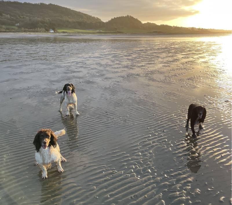 Group training session