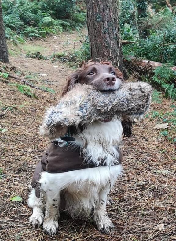 Moss holding rabbit dummy