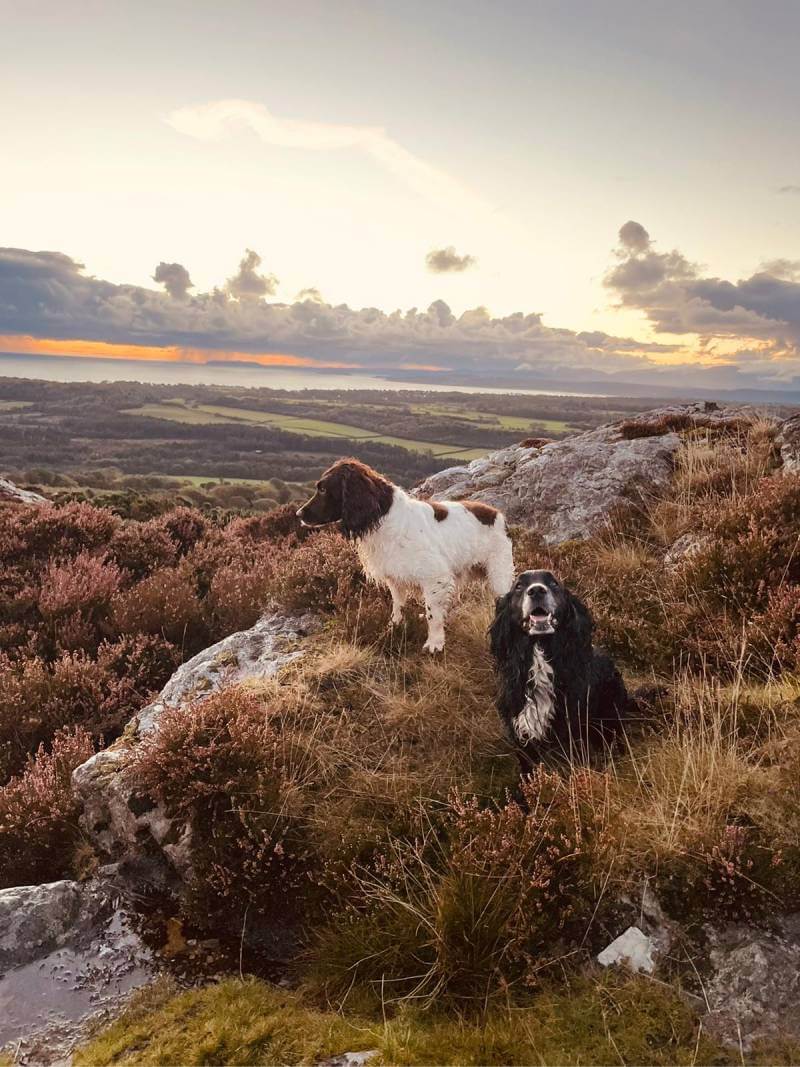 Moss and Taz on top of mountain
